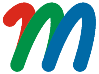 株式会社メソンのロゴ