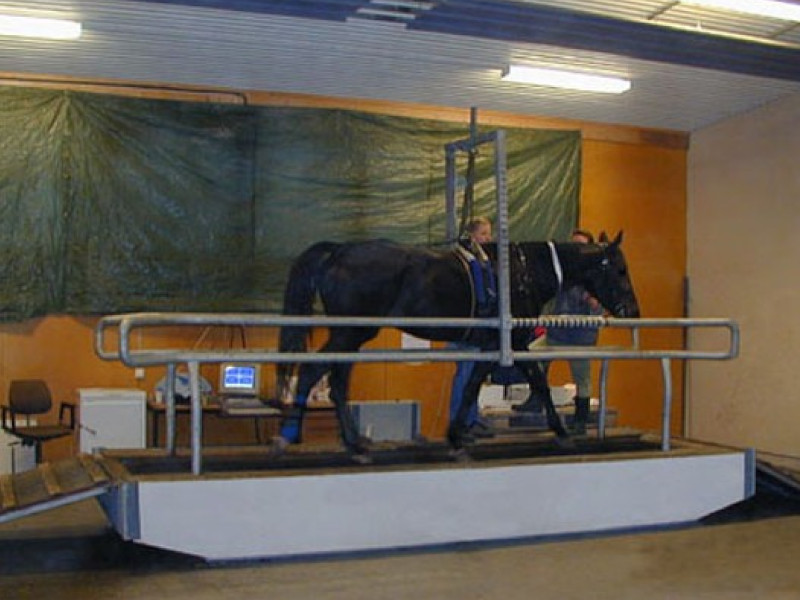 馬用トレッドミル Sato Equine Treadmill 馬用トレッドミル Sato Equine Treadmill